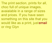 The print section, prints for