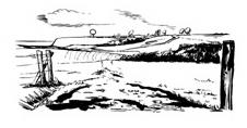 field