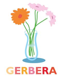 GERBERA7