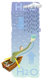 rainnew